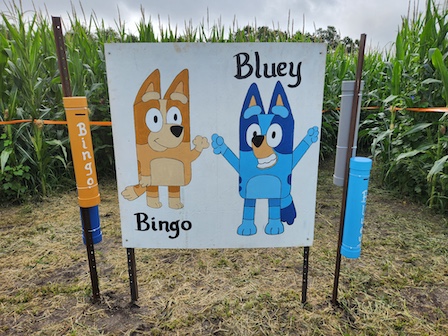 Bingo or Bluey